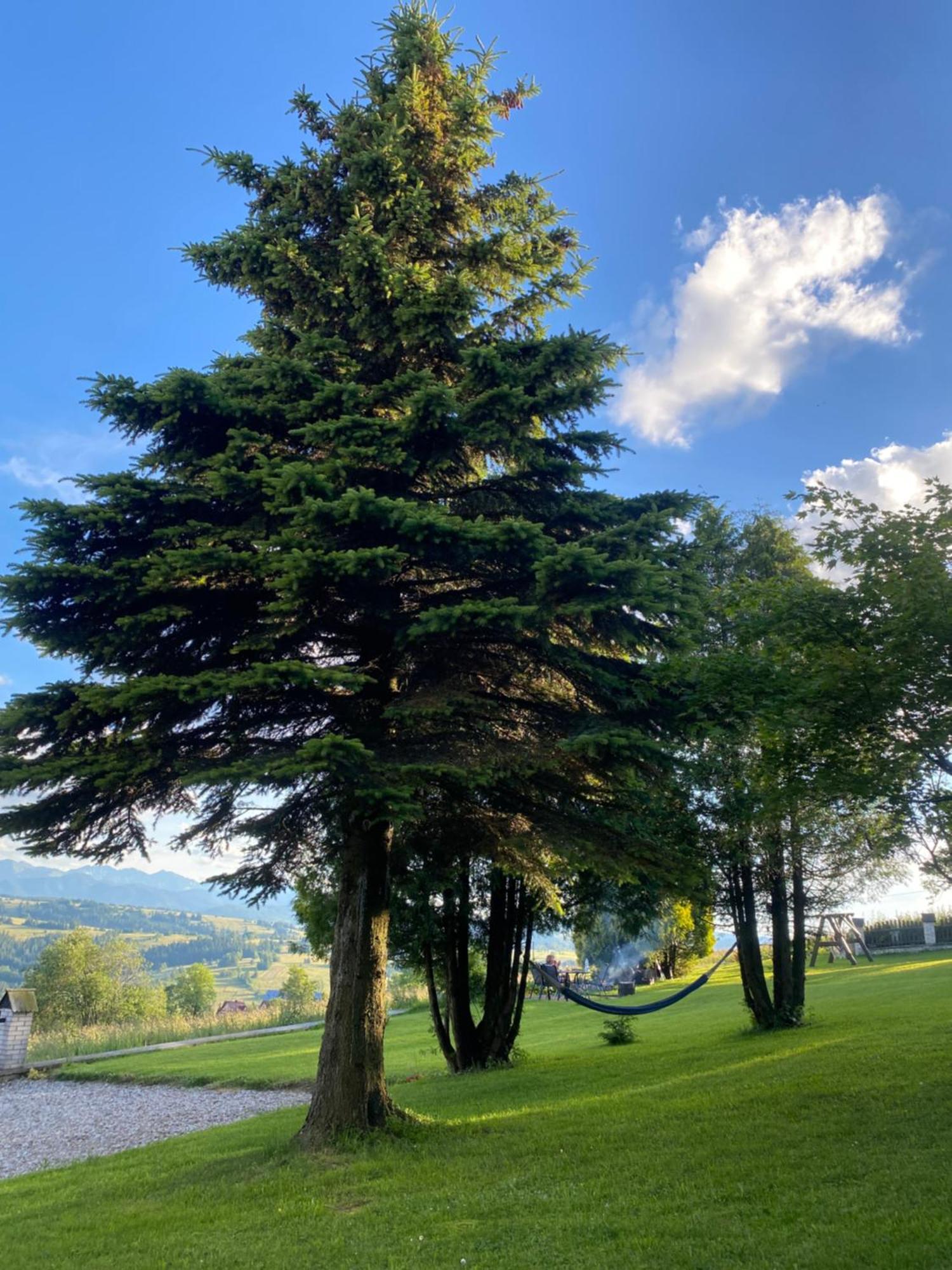 Apartmán Bajkowa Panorama Czerwienne Exteriér fotografie